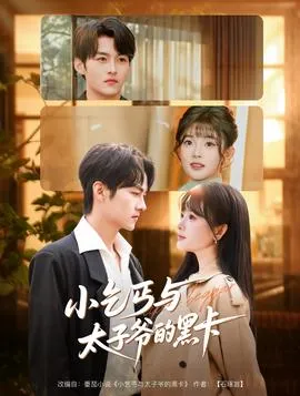 小乞丐与太子爷的黑卡在线观看