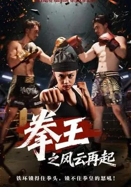 拳王之风云再起在线观看