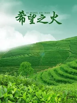 希望之火封面