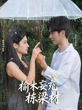 榆木妄充栋梁材在线观看