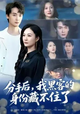 分手后，我黑客的身份藏不住了在线观看