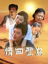 情回鹭岛在线观看