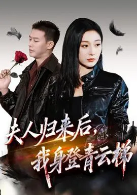 夫人归来后我身登青云梯在线观看