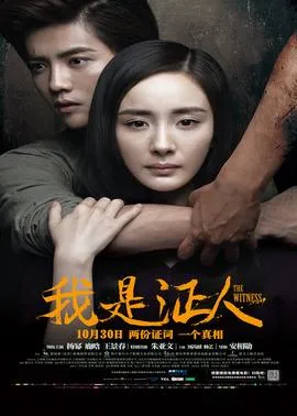 我是证人封面