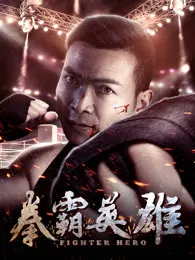 拳霸英雄封面