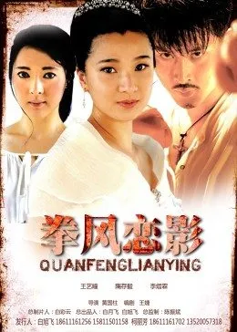 拳风恋影封面