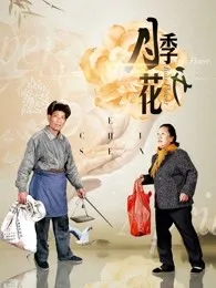 月季花开封面