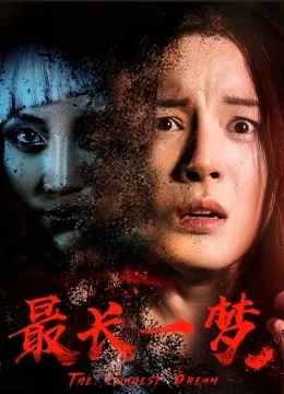 最长一梦封面