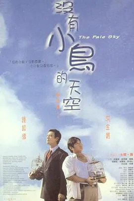 没有小鸟的天空封面