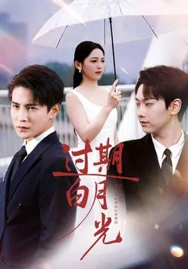 过期白月光在线观看