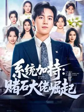 统加持：赌石大佬崛起在线观看
