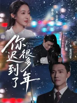 你迟到了很多年在线观看